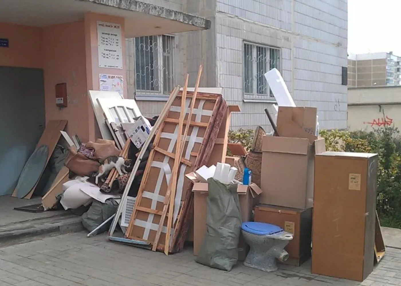 Профессиональный вывоз мусора из квартиры в Одинцове в октябре