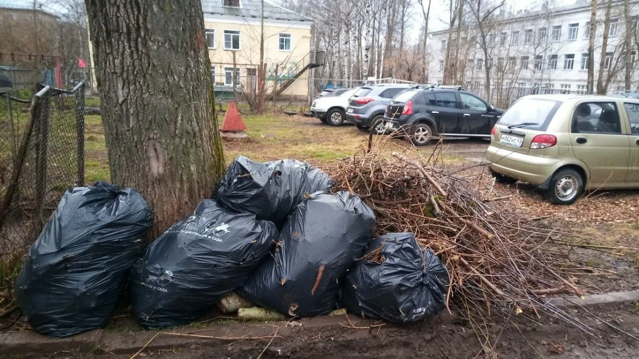 Вывоз мусора после субботника в Одинцове от ПроМусор – уборка и утилизация отходов от 2434 руб