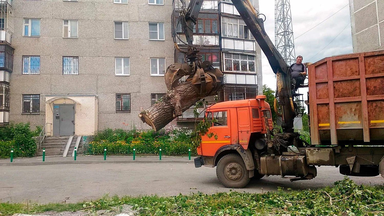 Вывоз спиленных веток и деревьев в Одинцове от ПроМусор: порубочные остатки, утилизация, цена от 3003 руб