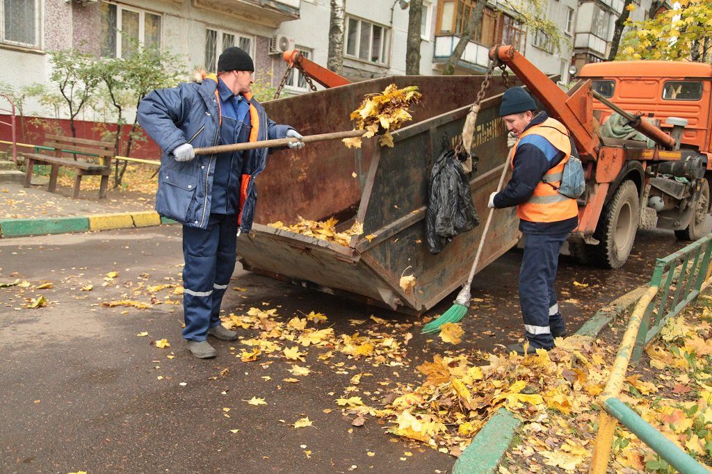 Вывоз опавшей листвы и растительного мусора в Одинцове от ПроМусор – цена от 4660 руб., быстрая уборка и утилизация